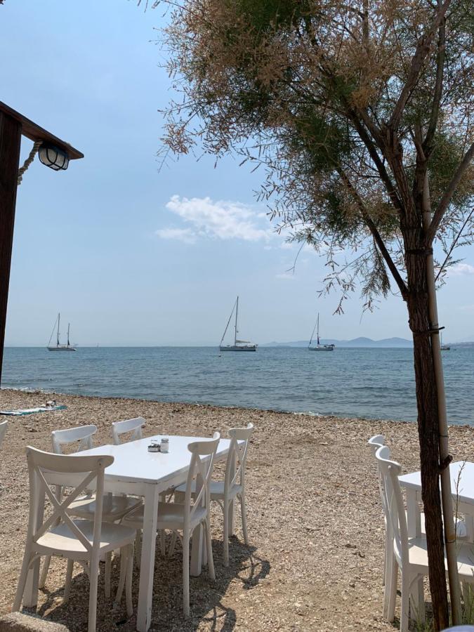 Lovely Faliro Next To The Sea.